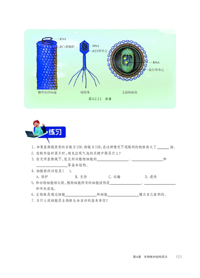 华师大7年级科学上册高清教材_4-教培资料-26年最新资料-同步更新_初中高中教资_03科三专项（进去保存报考的学科即可）_02科三专项（笔记真题思维导图教学设计版本二）