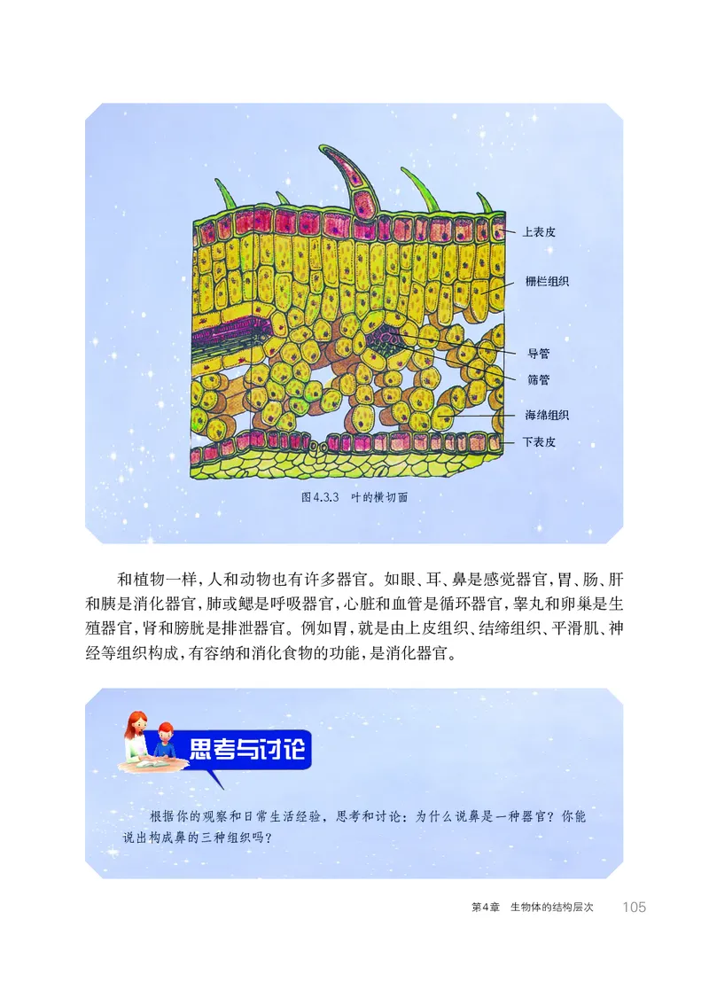华师大7年级科学上册高清教材_4-教培资料-26年最新资料-同步更新_初中高中教资_03科三专项（进去保存报考的学科即可）_02科三专项（笔记真题思维导图教学设计版本二）