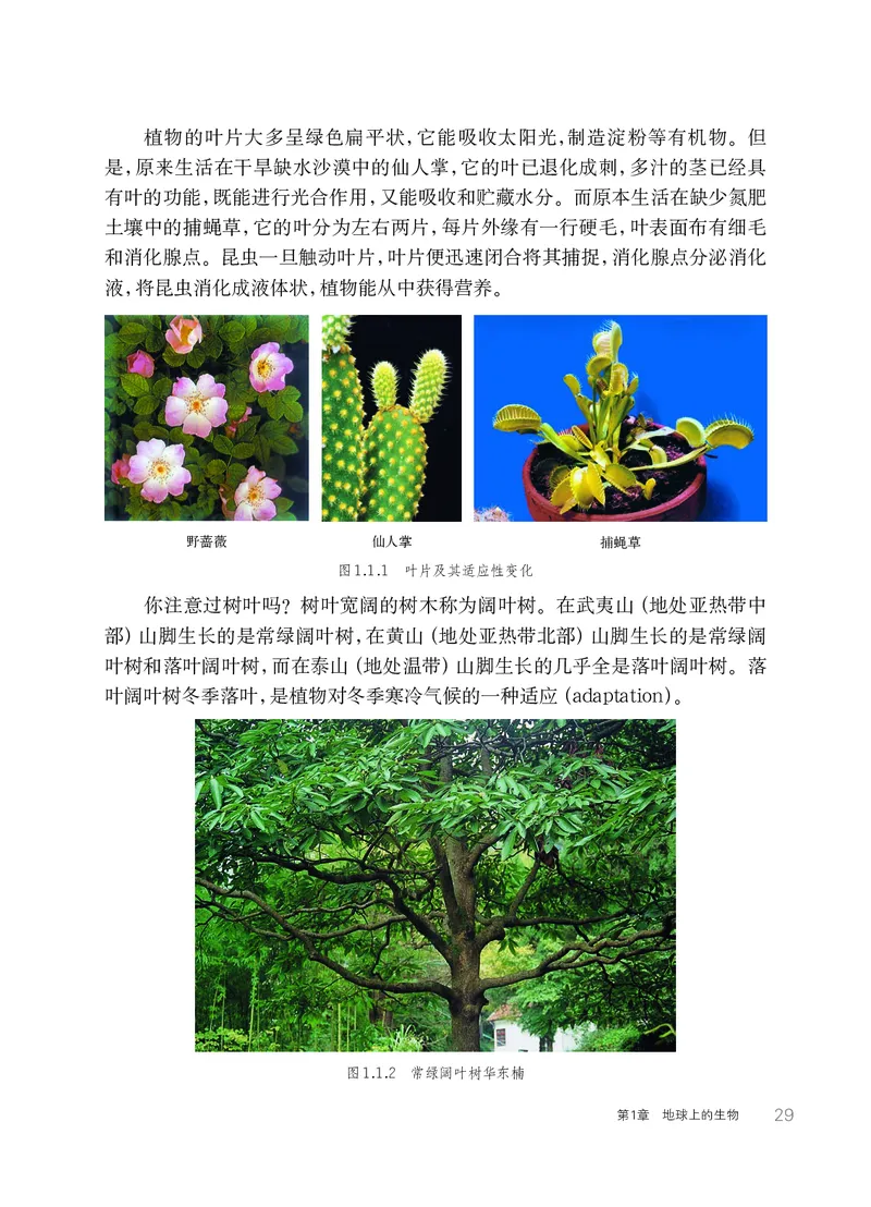 华师大7年级科学上册高清教材_4-教培资料-26年最新资料-同步更新_初中高中教资_03科三专项（进去保存报考的学科即可）_02科三专项（笔记真题思维导图教学设计版本二）