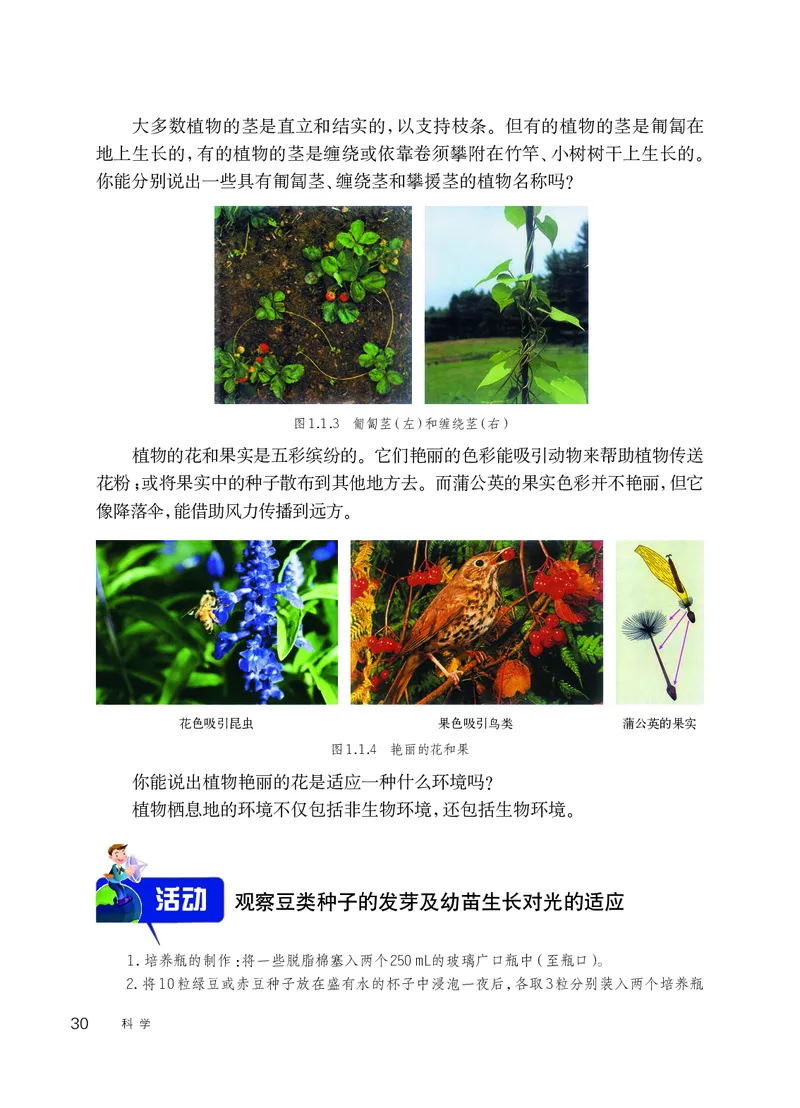 华师大7年级科学上册高清教材_4-教培资料-26年最新资料-同步更新_初中高中教资_03科三专项（进去保存报考的学科即可）_02科三专项（笔记真题思维导图教学设计版本二）
