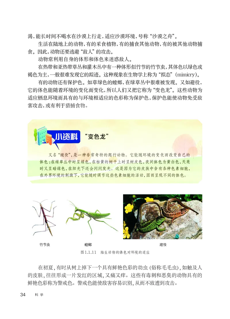 华师大7年级科学上册高清教材_4-教培资料-26年最新资料-同步更新_初中高中教资_03科三专项（进去保存报考的学科即可）_02科三专项（笔记真题思维导图教学设计版本二）