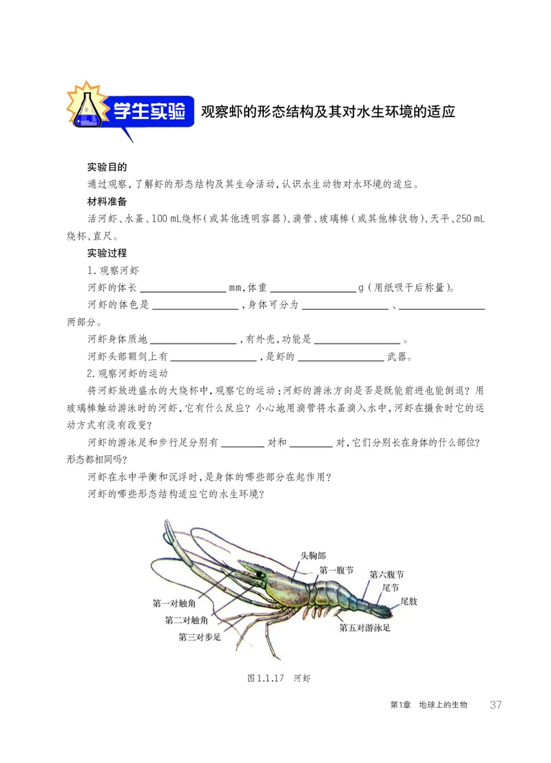 华师大7年级科学上册高清教材_4-教培资料-26年最新资料-同步更新_初中高中教资_03科三专项（进去保存报考的学科即可）_02科三专项（笔记真题思维导图教学设计版本二）