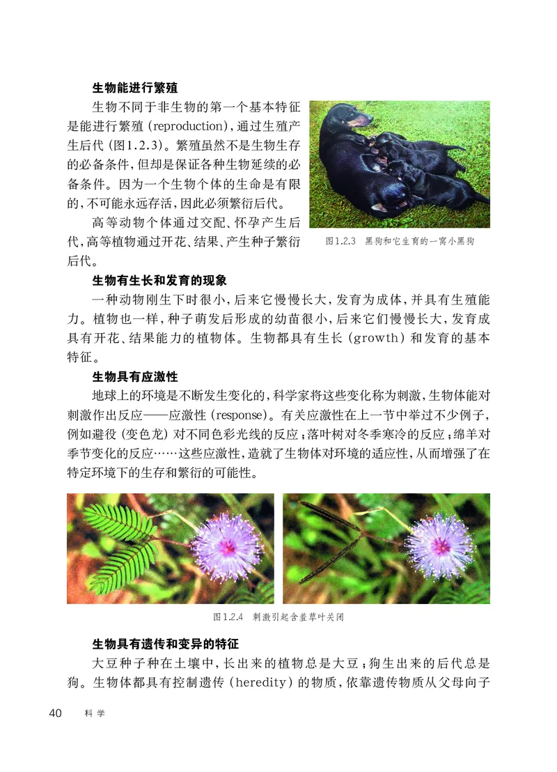 华师大7年级科学上册高清教材_4-教培资料-26年最新资料-同步更新_初中高中教资_03科三专项（进去保存报考的学科即可）_02科三专项（笔记真题思维导图教学设计版本二）