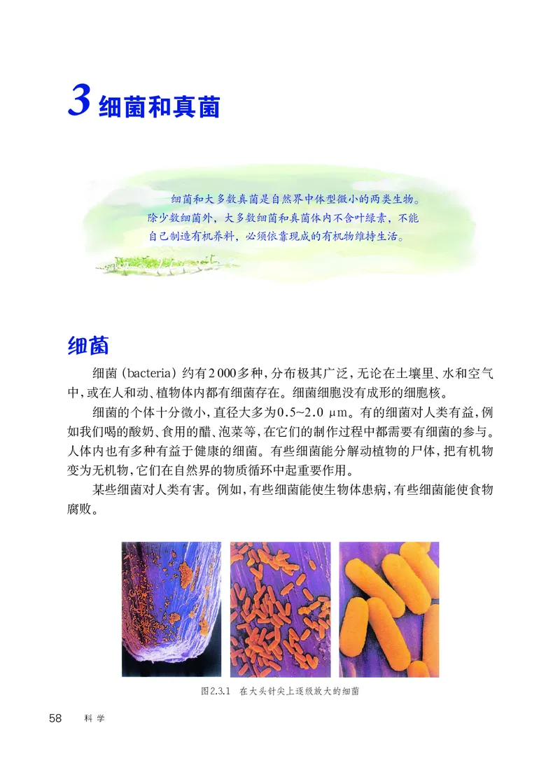 华师大7年级科学上册高清教材_4-教培资料-26年最新资料-同步更新_初中高中教资_03科三专项（进去保存报考的学科即可）_02科三专项（笔记真题思维导图教学设计版本二）