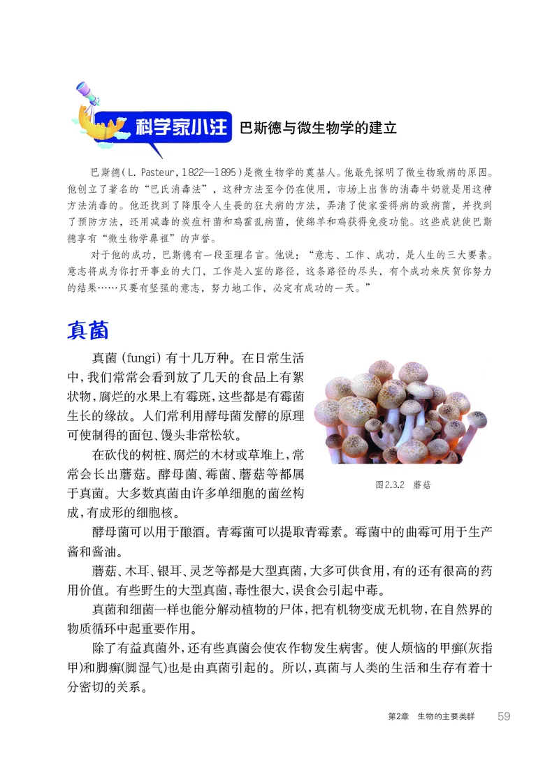 华师大7年级科学上册高清教材_4-教培资料-26年最新资料-同步更新_初中高中教资_03科三专项（进去保存报考的学科即可）_02科三专项（笔记真题思维导图教学设计版本二）