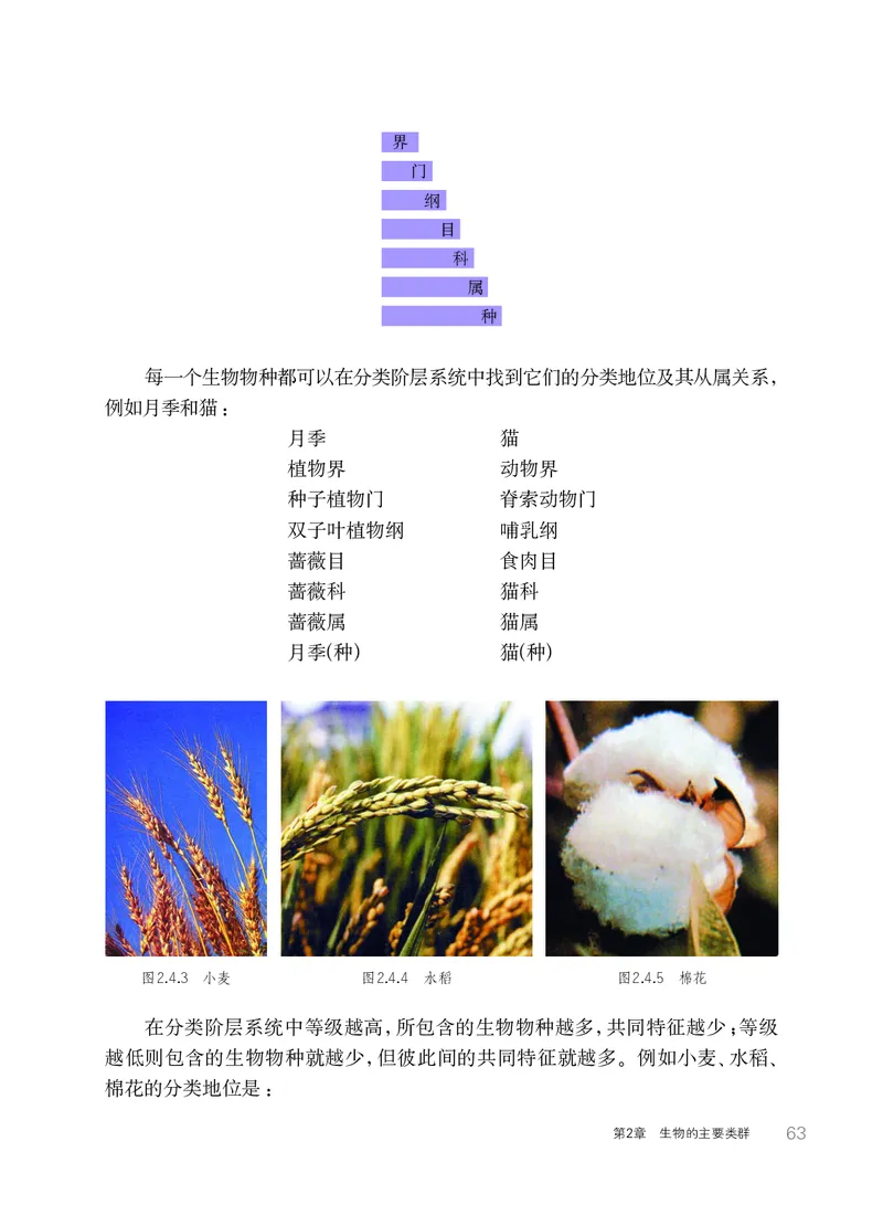 华师大7年级科学上册高清教材_4-教培资料-26年最新资料-同步更新_初中高中教资_03科三专项（进去保存报考的学科即可）_02科三专项（笔记真题思维导图教学设计版本二）
