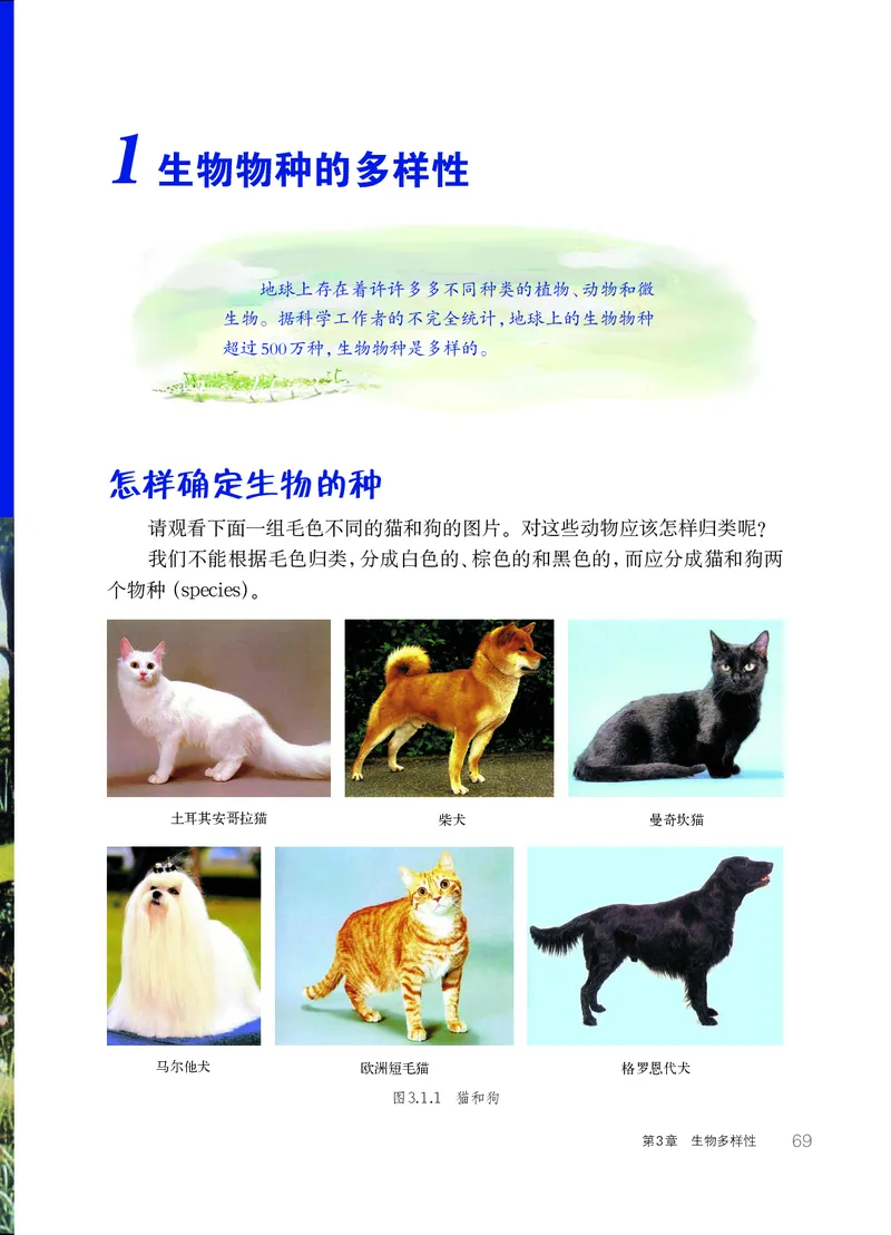 华师大7年级科学上册高清教材_4-教培资料-26年最新资料-同步更新_初中高中教资_03科三专项（进去保存报考的学科即可）_02科三专项（笔记真题思维导图教学设计版本二）