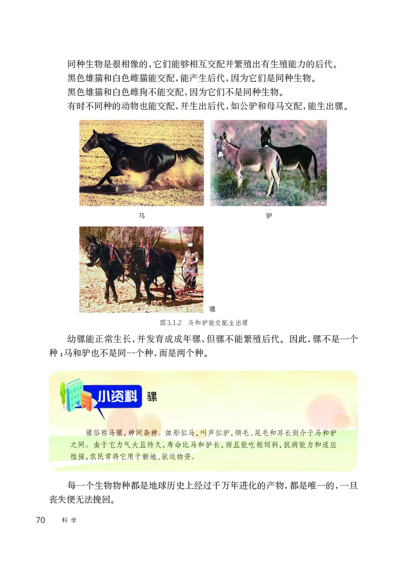 华师大7年级科学上册高清教材_4-教培资料-26年最新资料-同步更新_初中高中教资_03科三专项（进去保存报考的学科即可）_02科三专项（笔记真题思维导图教学设计版本二）