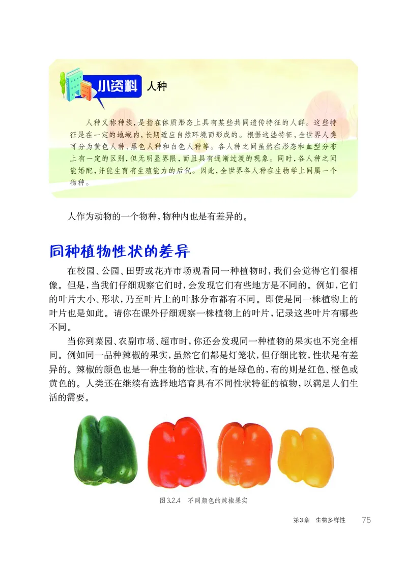 华师大7年级科学上册高清教材_4-教培资料-26年最新资料-同步更新_初中高中教资_03科三专项（进去保存报考的学科即可）_02科三专项（笔记真题思维导图教学设计版本二）