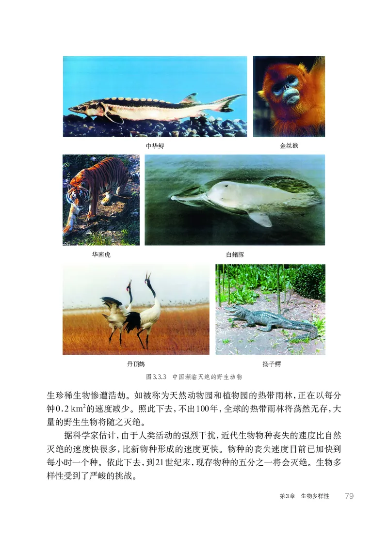 华师大7年级科学上册高清教材_4-教培资料-26年最新资料-同步更新_初中高中教资_03科三专项（进去保存报考的学科即可）_02科三专项（笔记真题思维导图教学设计版本二）