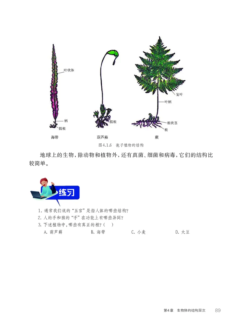 华师大7年级科学上册高清教材_4-教培资料-26年最新资料-同步更新_初中高中教资_03科三专项（进去保存报考的学科即可）_02科三专项（笔记真题思维导图教学设计版本二）