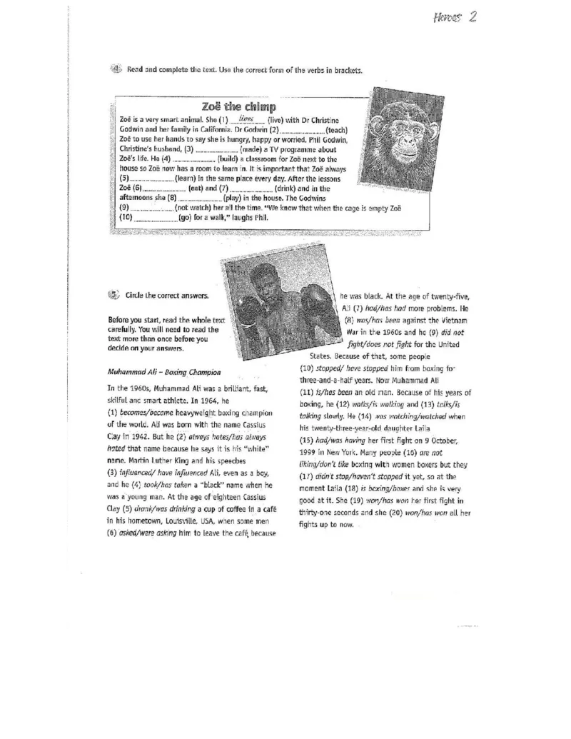 北师大版高中英语必修模块1电子课本_4-教培资料-26年最新资料-同步更新_初中高中教资_03科三专项（进去保存报考的学科即可）_02科三专项（笔记真题思维导图教学设计版本二）