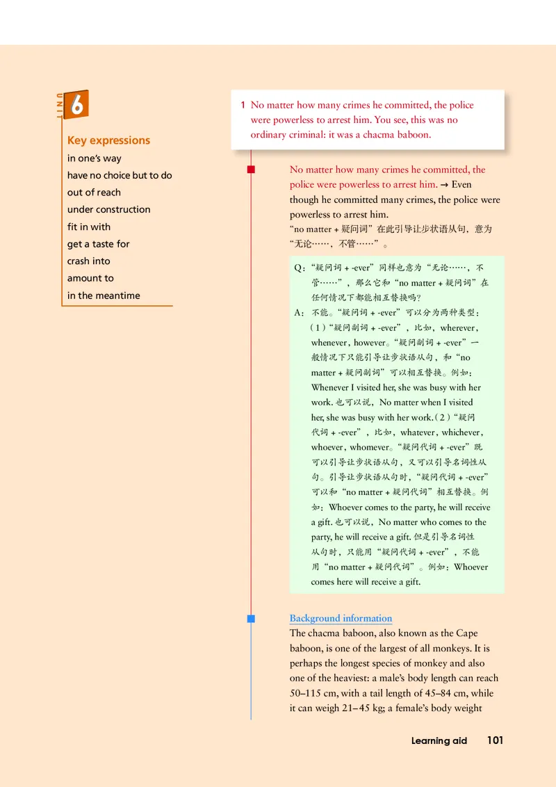 外研版英语选修第二册高清教材_4-教培资料-26年最新资料-同步更新_初中高中教资_03科三专项（进去保存报考的学科即可）_02科三专项（笔记真题思维导图教学设计版本二）