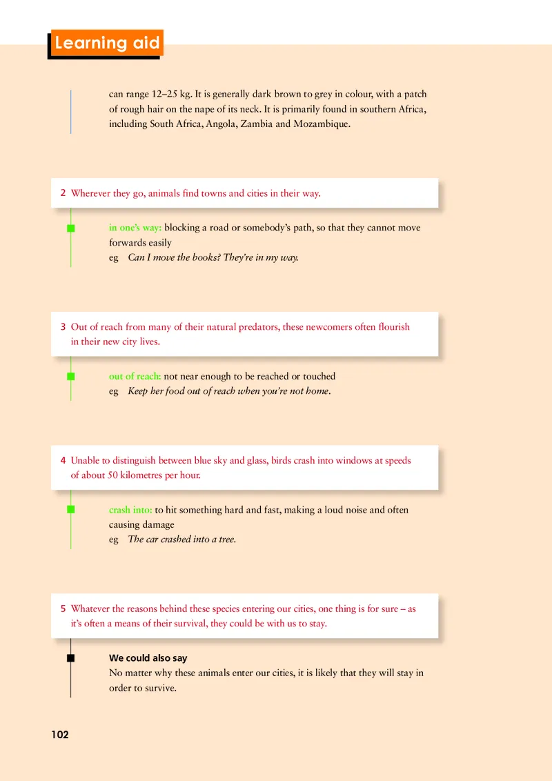 外研版英语选修第二册高清教材_4-教培资料-26年最新资料-同步更新_初中高中教资_03科三专项（进去保存报考的学科即可）_02科三专项（笔记真题思维导图教学设计版本二）