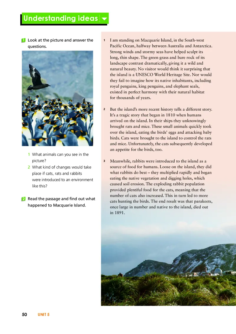 外研版英语选修第二册高清教材_4-教培资料-26年最新资料-同步更新_初中高中教资_03科三专项（进去保存报考的学科即可）_02科三专项（笔记真题思维导图教学设计版本二）