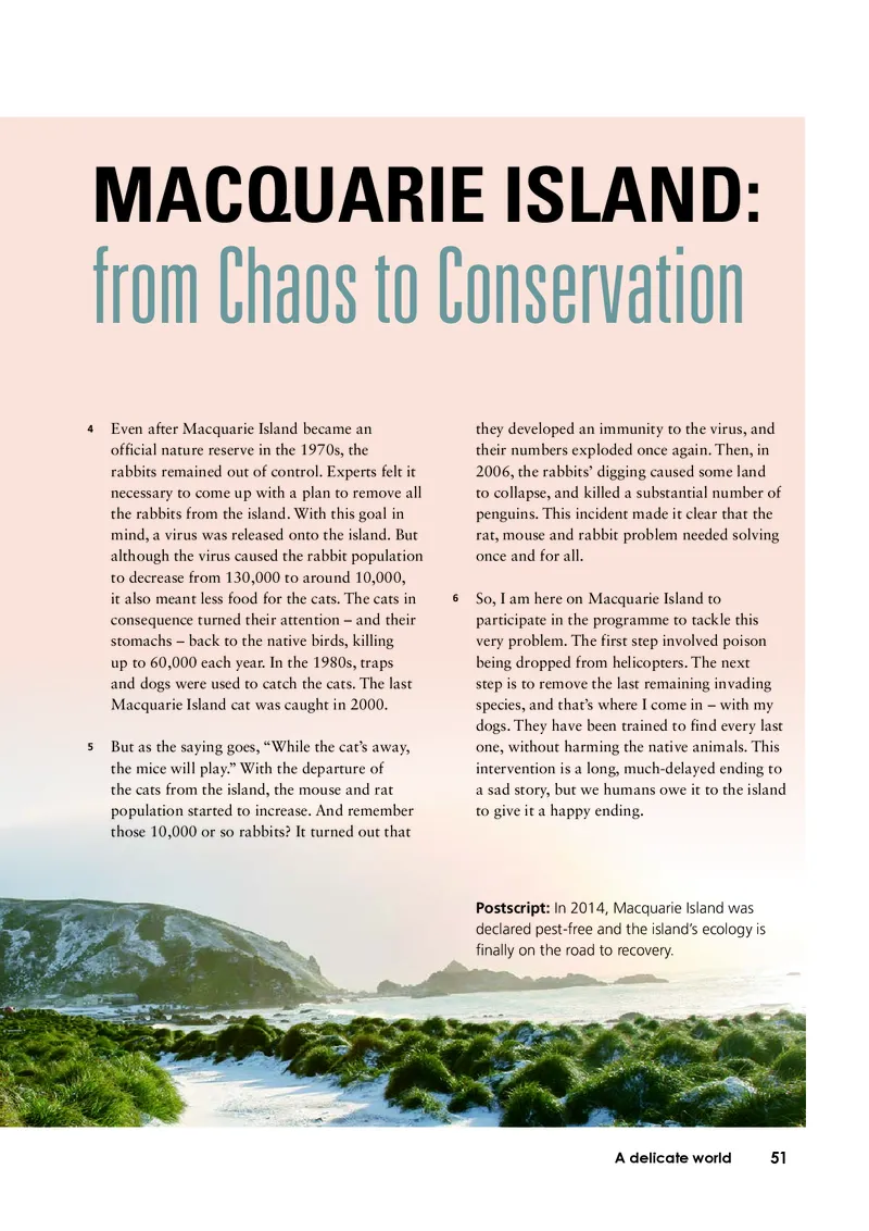 外研版英语选修第二册高清教材_4-教培资料-26年最新资料-同步更新_初中高中教资_03科三专项（进去保存报考的学科即可）_02科三专项（笔记真题思维导图教学设计版本二）