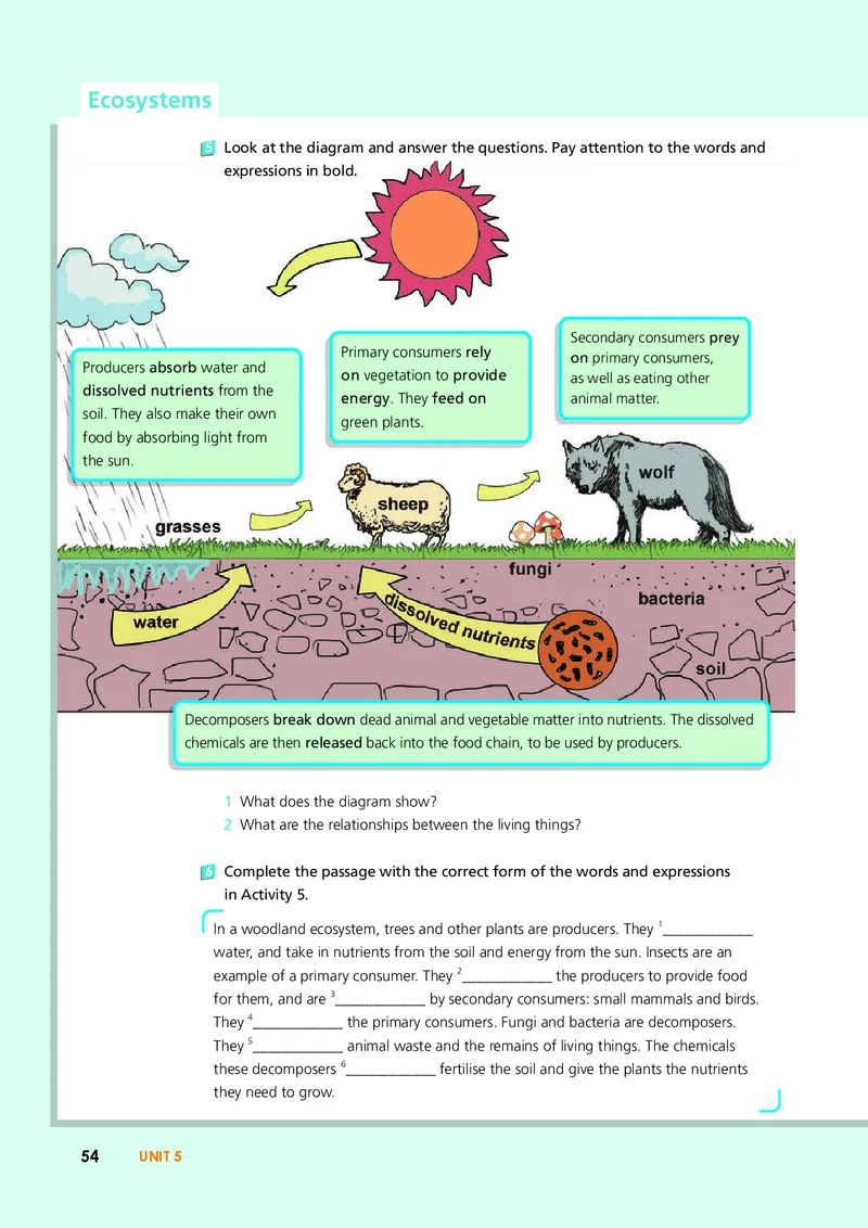 外研版英语选修第二册高清教材_4-教培资料-26年最新资料-同步更新_初中高中教资_03科三专项（进去保存报考的学科即可）_02科三专项（笔记真题思维导图教学设计版本二）