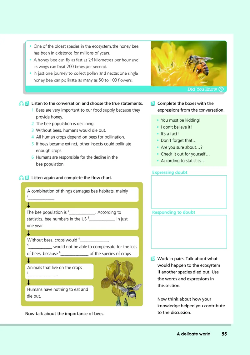 外研版英语选修第二册高清教材_4-教培资料-26年最新资料-同步更新_初中高中教资_03科三专项（进去保存报考的学科即可）_02科三专项（笔记真题思维导图教学设计版本二）