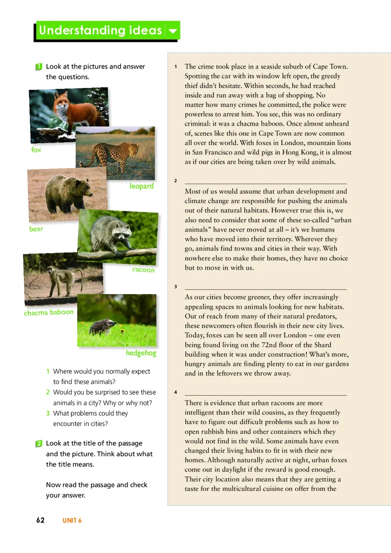 外研版英语选修第二册高清教材_4-教培资料-26年最新资料-同步更新_初中高中教资_03科三专项（进去保存报考的学科即可）_02科三专项（笔记真题思维导图教学设计版本二）