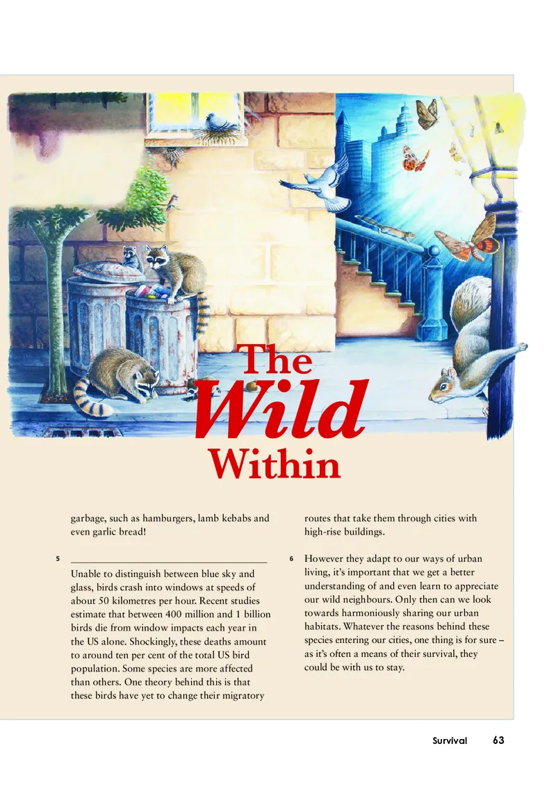 外研版英语选修第二册高清教材_4-教培资料-26年最新资料-同步更新_初中高中教资_03科三专项（进去保存报考的学科即可）_02科三专项（笔记真题思维导图教学设计版本二）