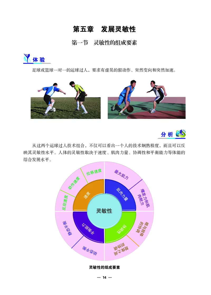 冀教版8年级体育全一册高清教材_4-教培资料-26年最新资料-同步更新_初中高中教资_03科三专项（进去保存报考的学科即可）_02科三专项（笔记真题思维导图教学设计版本二）
