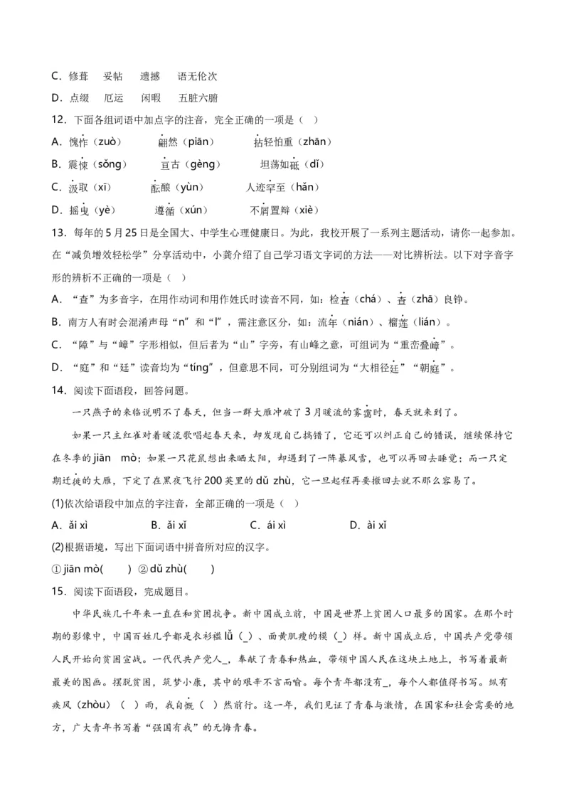 第1关：字音字形（解析版）_120中考语文全套复习_中考语文复习总复习_一轮复习资料_完2024年中考语文一轮复习讲义+练习（全国通用）_配套题型专练（原卷版+解析版）_答案解析版