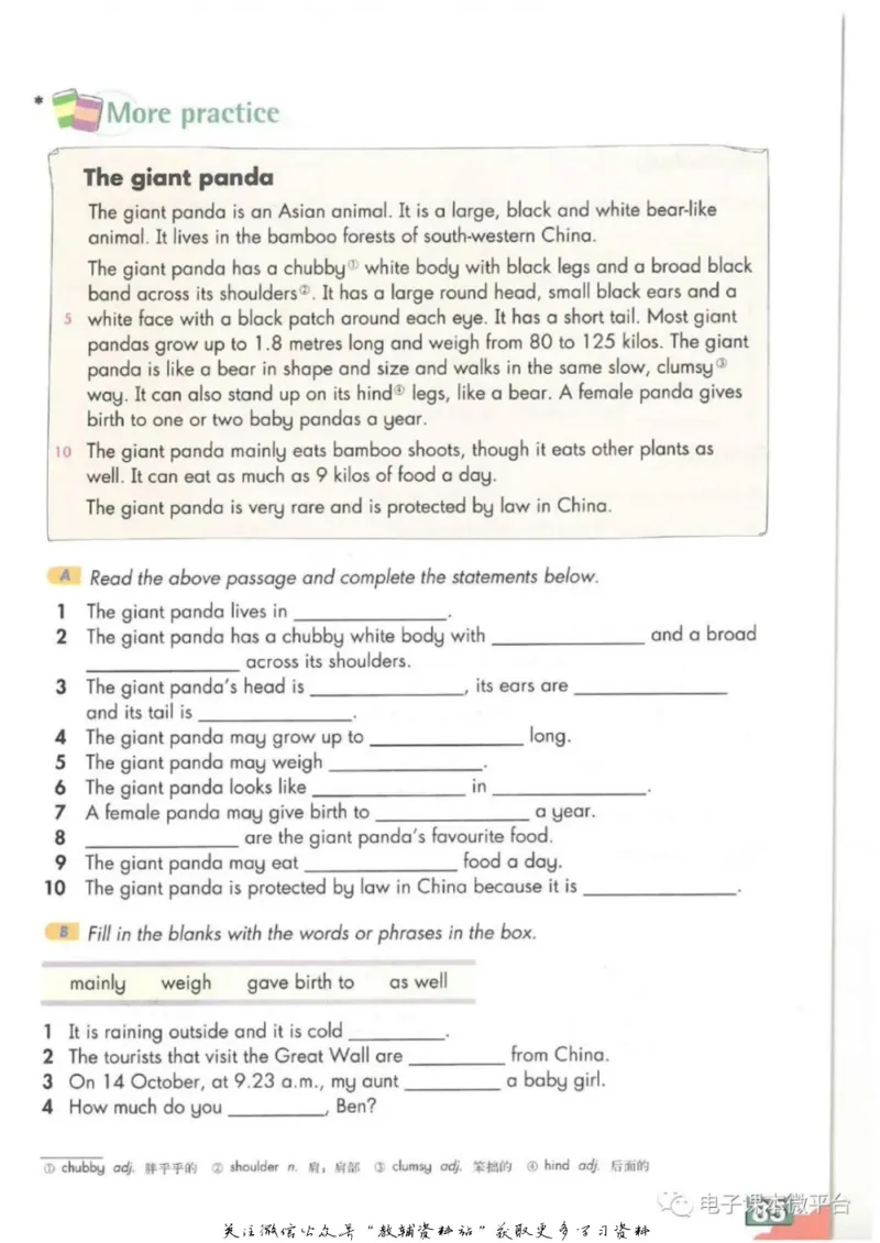 八年级上册英语上海牛津版电子课本_4-教培资料-26年最新资料-同步更新_初中高中教资_03科三专项（进去保存报考的学科即可）_02科三专项（笔记真题思维导图教学设计版本二）
