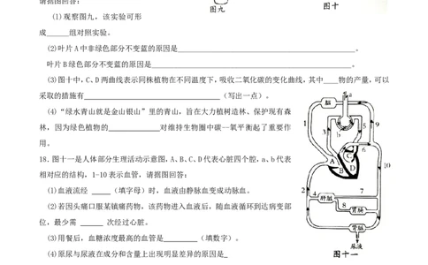 2019年四川省南充市中考生物真题及答案_中考真题_8.生物中考真题2015-2024年_地区卷_四川省_四川南充生物17-22