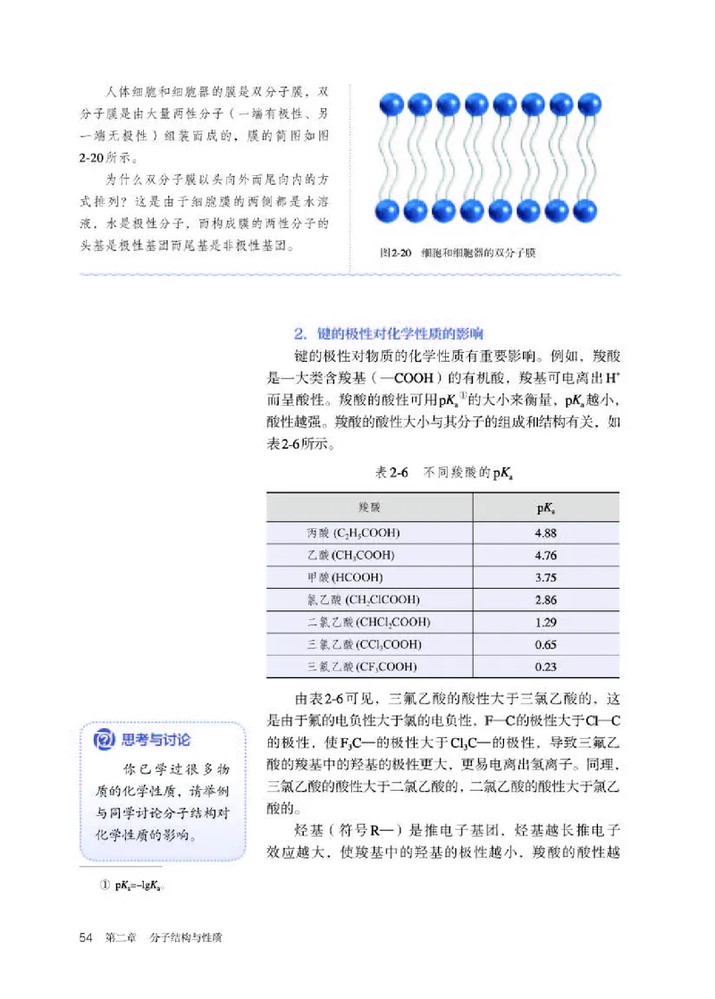 人教版化学选修第二册高清教材_4-教培资料-26年最新资料-同步更新_初中高中教资_03科三专项（进去保存报考的学科即可）_02科三专项（笔记真题思维导图教学设计版本二）