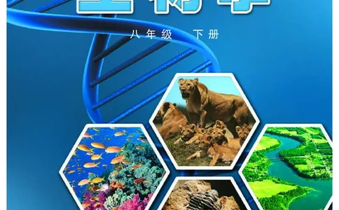冀少版8年级生物下册高清教材_4-教培资料-26年最新资料-同步更新_初中高中教资_03科三专项（进去保存报考的学科即可）_02科三专项（笔记真题思维导图教学设计版本二）