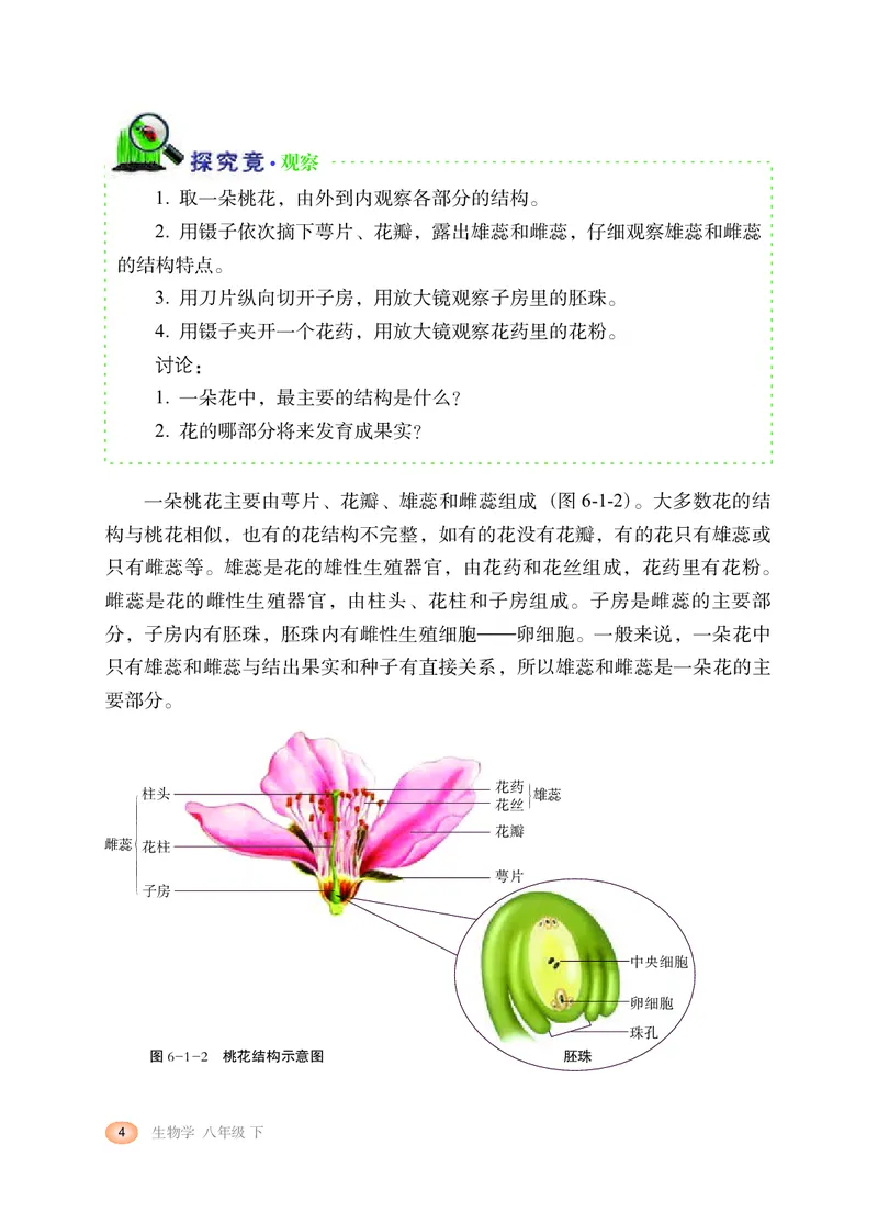 冀少版8年级生物下册高清教材_4-教培资料-26年最新资料-同步更新_初中高中教资_03科三专项（进去保存报考的学科即可）_02科三专项（笔记真题思维导图教学设计版本二）