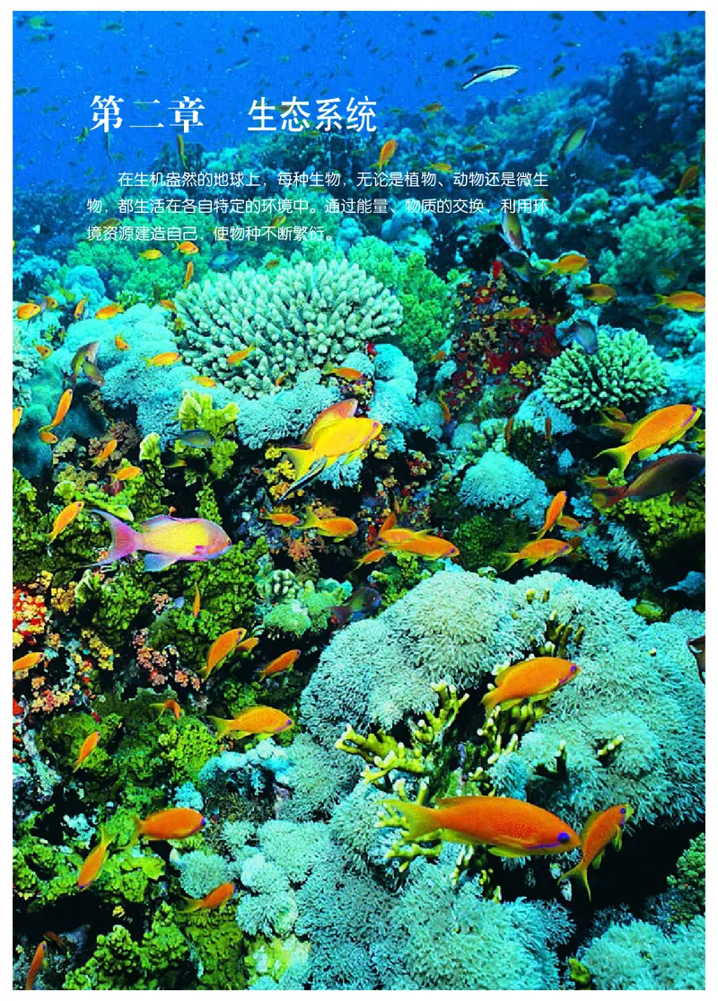 冀少版8年级生物下册高清教材_4-教培资料-26年最新资料-同步更新_初中高中教资_03科三专项（进去保存报考的学科即可）_02科三专项（笔记真题思维导图教学设计版本二）