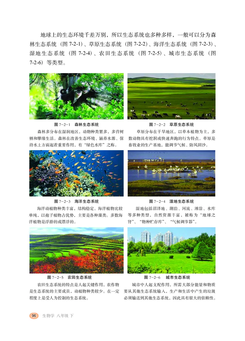 冀少版8年级生物下册高清教材_4-教培资料-26年最新资料-同步更新_初中高中教资_03科三专项（进去保存报考的学科即可）_02科三专项（笔记真题思维导图教学设计版本二）