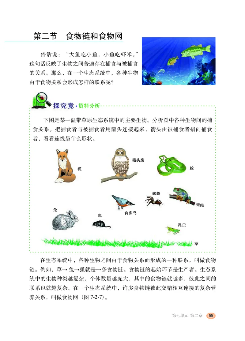 冀少版8年级生物下册高清教材_4-教培资料-26年最新资料-同步更新_初中高中教资_03科三专项（进去保存报考的学科即可）_02科三专项（笔记真题思维导图教学设计版本二）