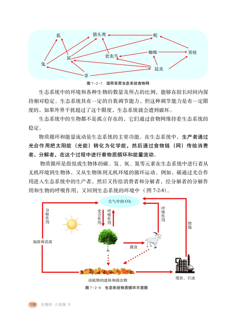 冀少版8年级生物下册高清教材_4-教培资料-26年最新资料-同步更新_初中高中教资_03科三专项（进去保存报考的学科即可）_02科三专项（笔记真题思维导图教学设计版本二）