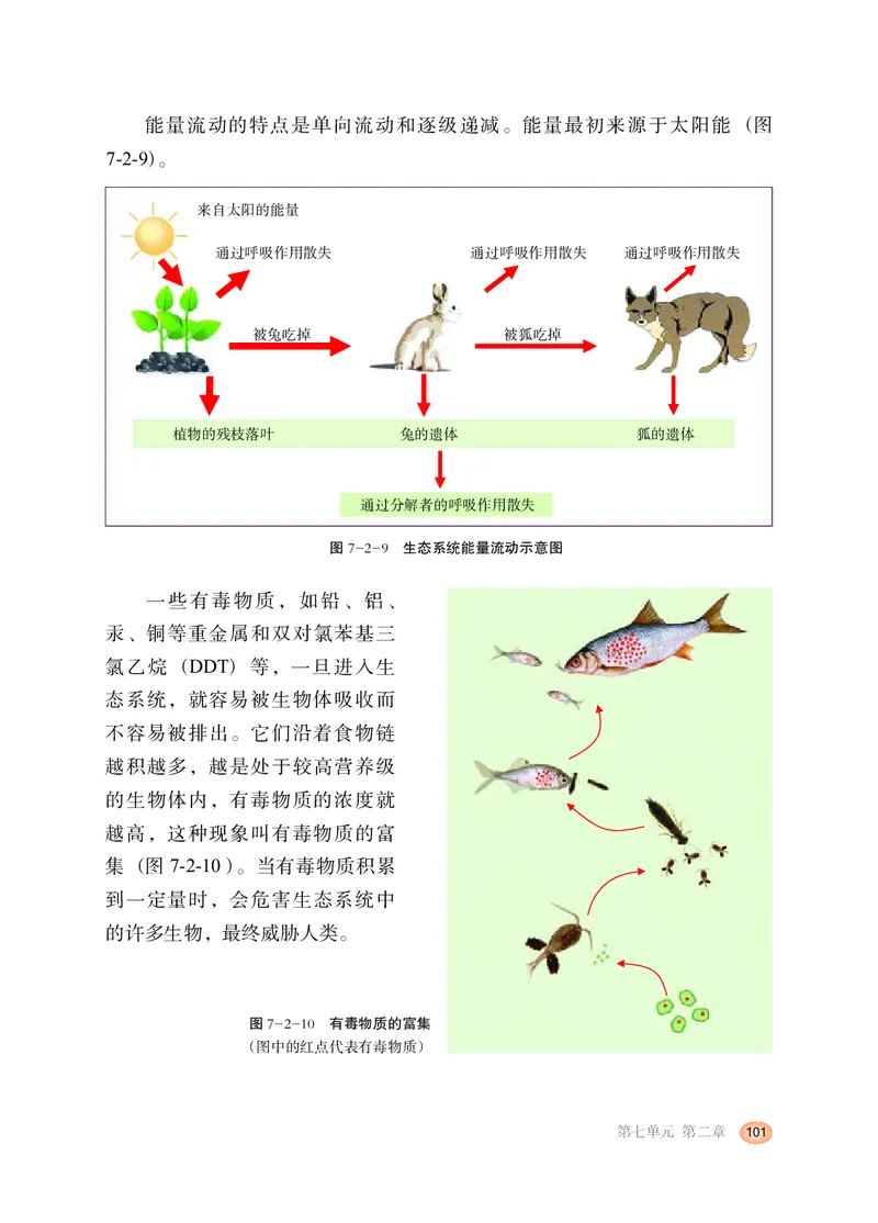 冀少版8年级生物下册高清教材_4-教培资料-26年最新资料-同步更新_初中高中教资_03科三专项（进去保存报考的学科即可）_02科三专项（笔记真题思维导图教学设计版本二）