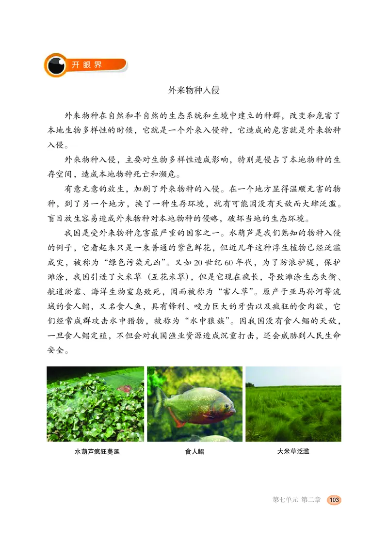冀少版8年级生物下册高清教材_4-教培资料-26年最新资料-同步更新_初中高中教资_03科三专项（进去保存报考的学科即可）_02科三专项（笔记真题思维导图教学设计版本二）