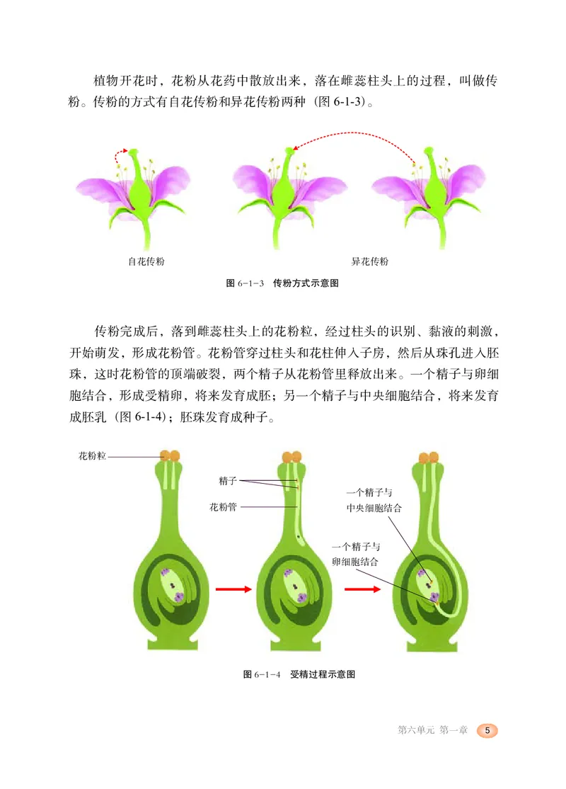 冀少版8年级生物下册高清教材_4-教培资料-26年最新资料-同步更新_初中高中教资_03科三专项（进去保存报考的学科即可）_02科三专项（笔记真题思维导图教学设计版本二）