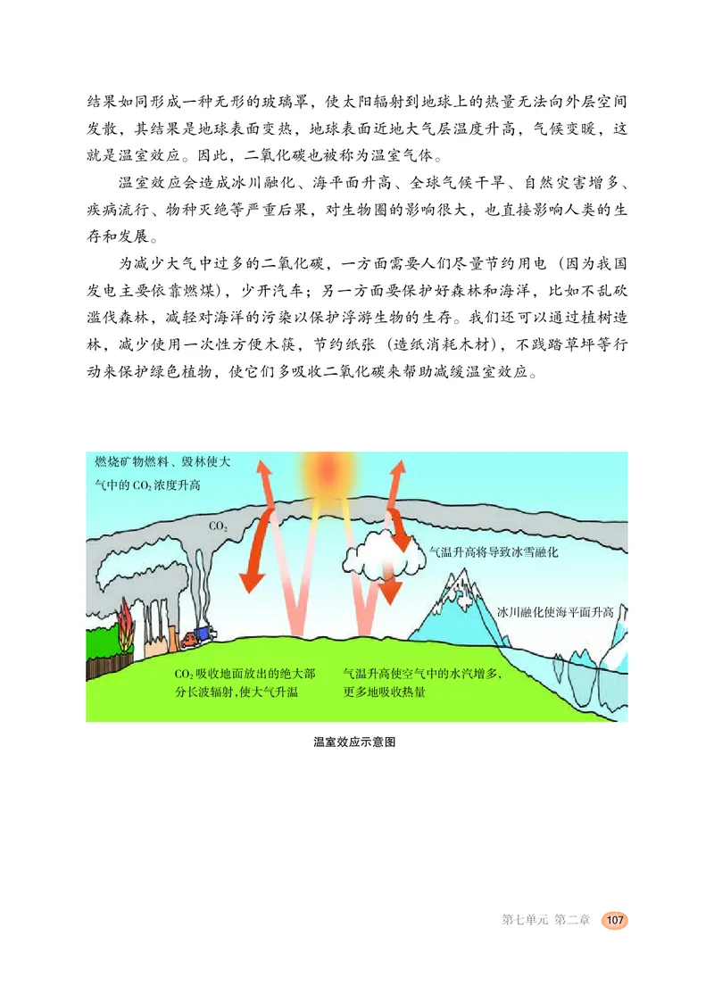 冀少版8年级生物下册高清教材_4-教培资料-26年最新资料-同步更新_初中高中教资_03科三专项（进去保存报考的学科即可）_02科三专项（笔记真题思维导图教学设计版本二）