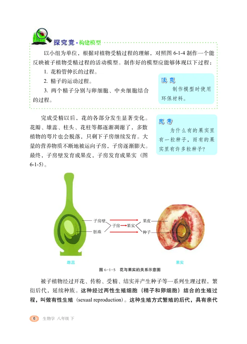 冀少版8年级生物下册高清教材_4-教培资料-26年最新资料-同步更新_初中高中教资_03科三专项（进去保存报考的学科即可）_02科三专项（笔记真题思维导图教学设计版本二）