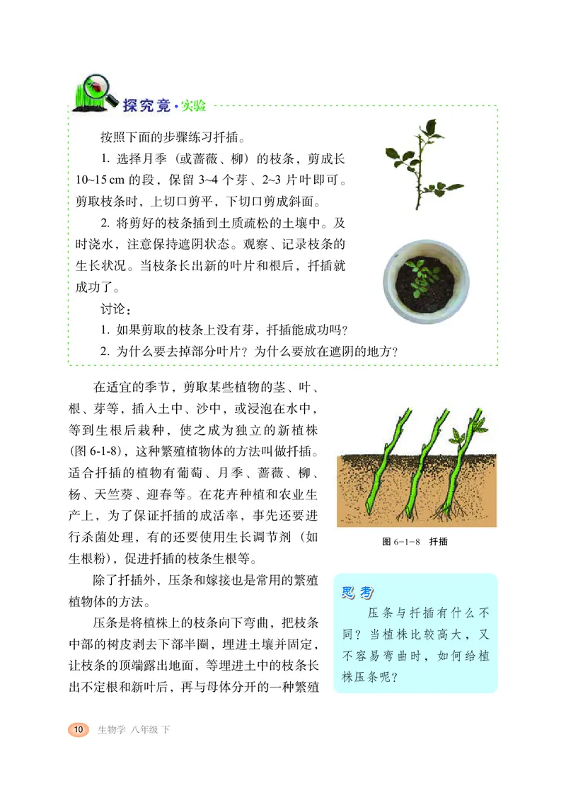 冀少版8年级生物下册高清教材_4-教培资料-26年最新资料-同步更新_初中高中教资_03科三专项（进去保存报考的学科即可）_02科三专项（笔记真题思维导图教学设计版本二）