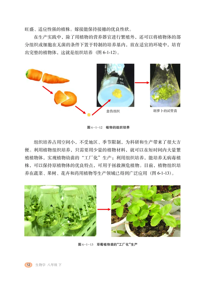 冀少版8年级生物下册高清教材_4-教培资料-26年最新资料-同步更新_初中高中教资_03科三专项（进去保存报考的学科即可）_02科三专项（笔记真题思维导图教学设计版本二）
