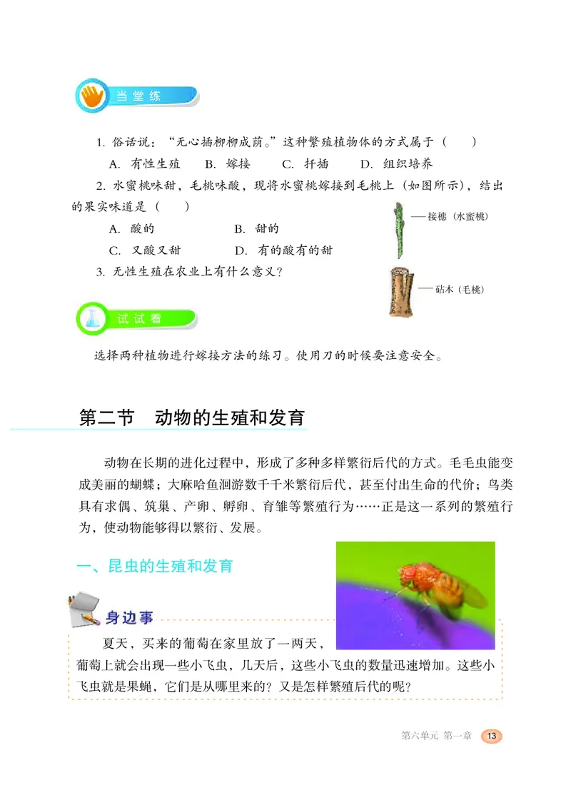 冀少版8年级生物下册高清教材_4-教培资料-26年最新资料-同步更新_初中高中教资_03科三专项（进去保存报考的学科即可）_02科三专项（笔记真题思维导图教学设计版本二）