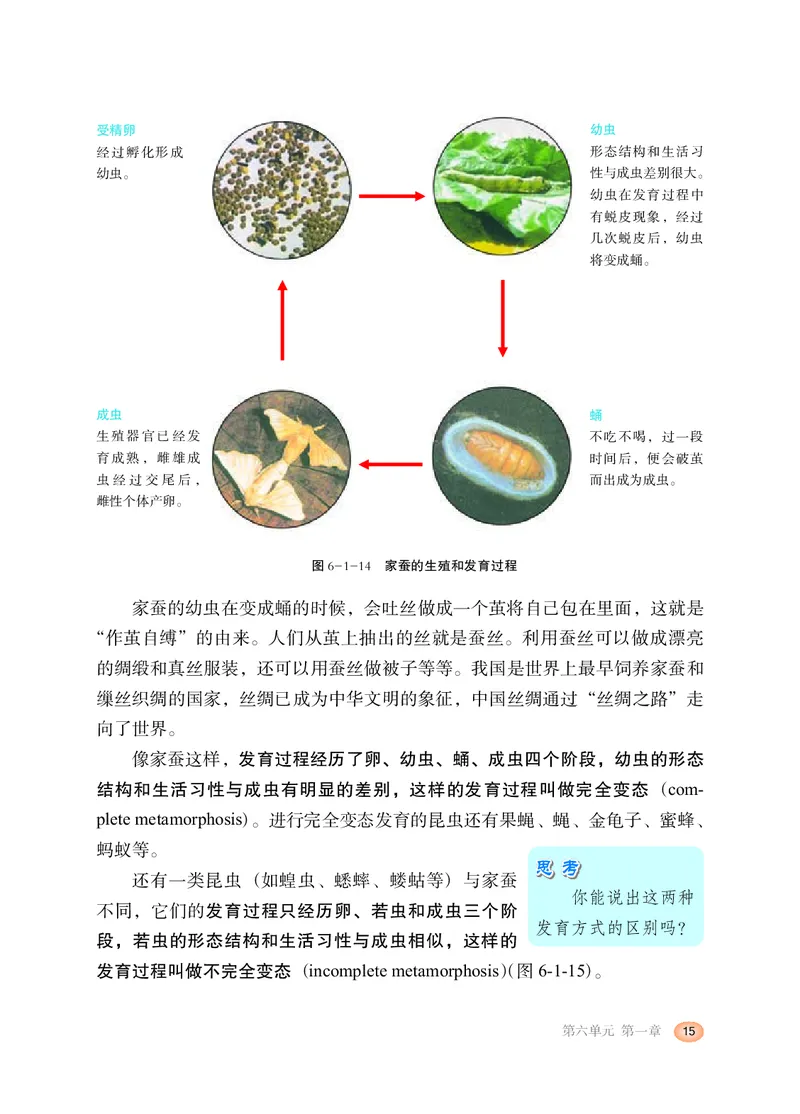 冀少版8年级生物下册高清教材_4-教培资料-26年最新资料-同步更新_初中高中教资_03科三专项（进去保存报考的学科即可）_02科三专项（笔记真题思维导图教学设计版本二）