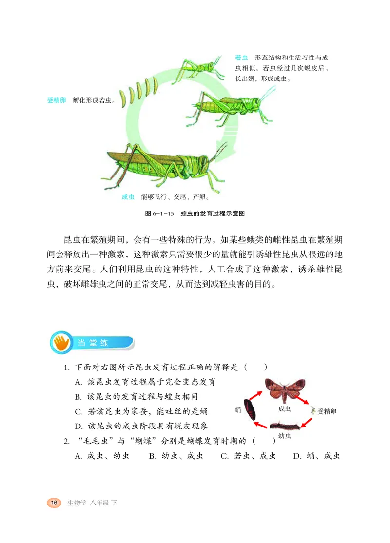 冀少版8年级生物下册高清教材_4-教培资料-26年最新资料-同步更新_初中高中教资_03科三专项（进去保存报考的学科即可）_02科三专项（笔记真题思维导图教学设计版本二）