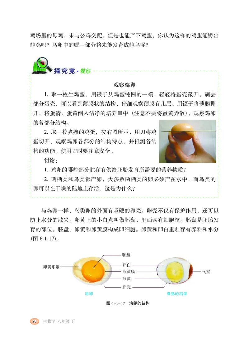 冀少版8年级生物下册高清教材_4-教培资料-26年最新资料-同步更新_初中高中教资_03科三专项（进去保存报考的学科即可）_02科三专项（笔记真题思维导图教学设计版本二）