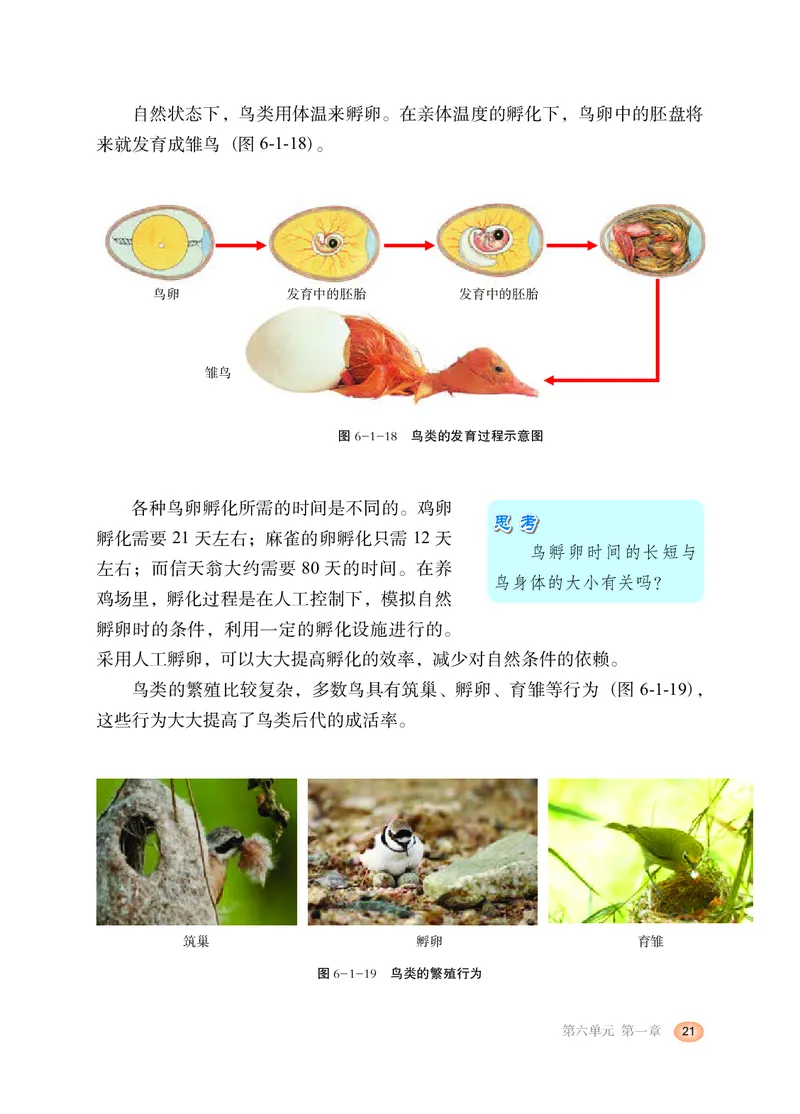 冀少版8年级生物下册高清教材_4-教培资料-26年最新资料-同步更新_初中高中教资_03科三专项（进去保存报考的学科即可）_02科三专项（笔记真题思维导图教学设计版本二）