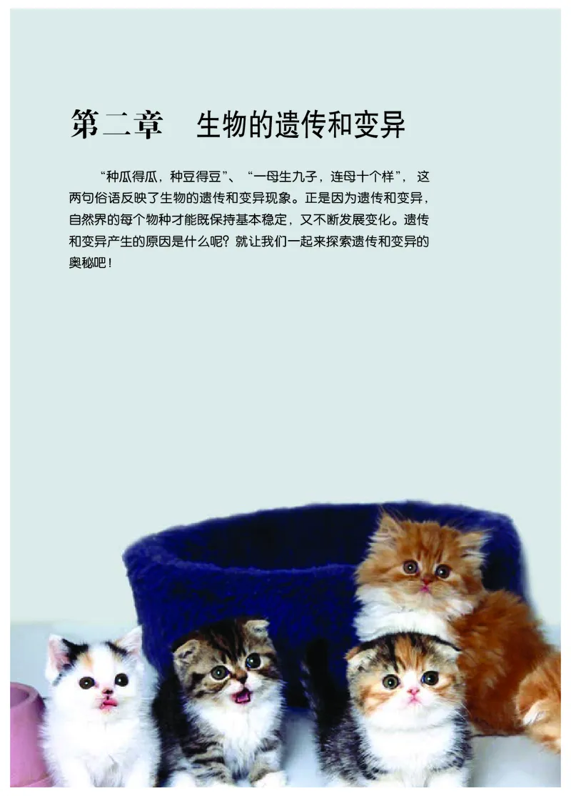 冀少版8年级生物下册高清教材_4-教培资料-26年最新资料-同步更新_初中高中教资_03科三专项（进去保存报考的学科即可）_02科三专项（笔记真题思维导图教学设计版本二）