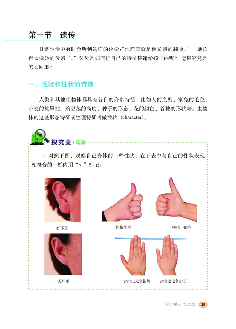 冀少版8年级生物下册高清教材_4-教培资料-26年最新资料-同步更新_初中高中教资_03科三专项（进去保存报考的学科即可）_02科三专项（笔记真题思维导图教学设计版本二）