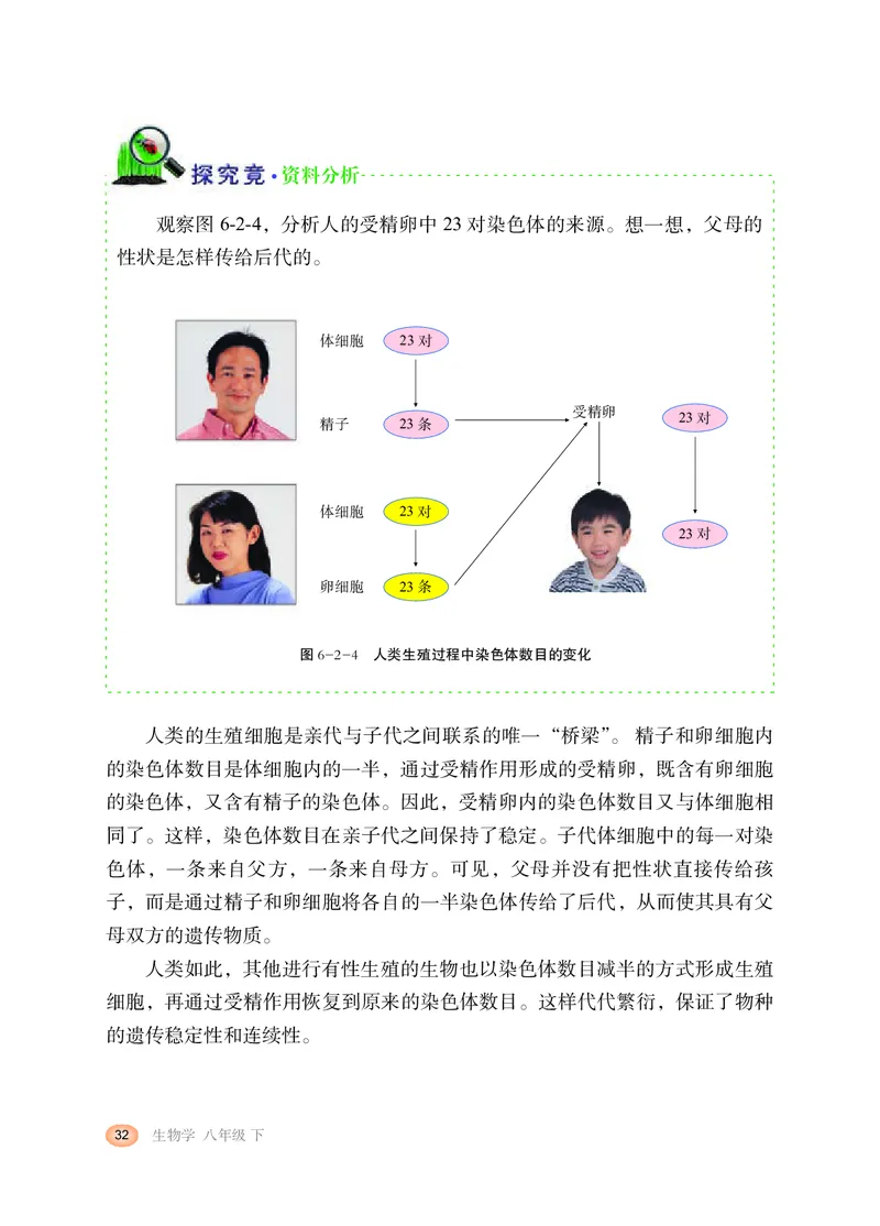 冀少版8年级生物下册高清教材_4-教培资料-26年最新资料-同步更新_初中高中教资_03科三专项（进去保存报考的学科即可）_02科三专项（笔记真题思维导图教学设计版本二）